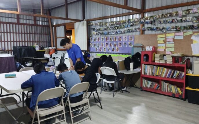 {{brizy_dc_image_alt entityId=